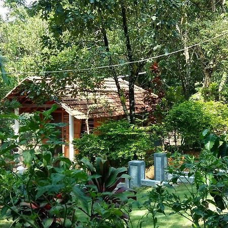 Leisure Vacations Whispering Woods Hotell Madikeri Exteriör bild