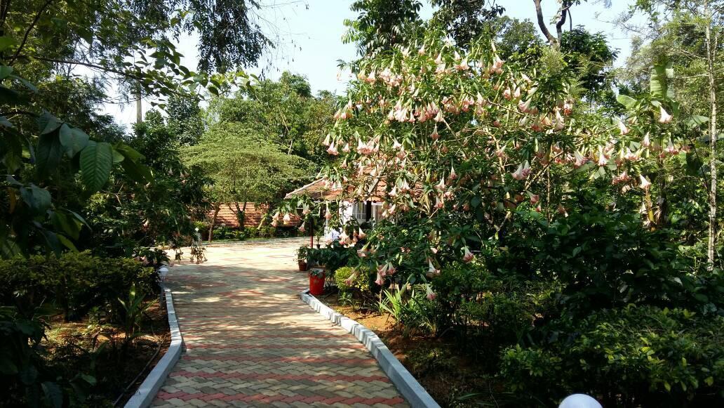 Leisure Vacations Whispering Woods Hotell Madikeri Exteriör bild
