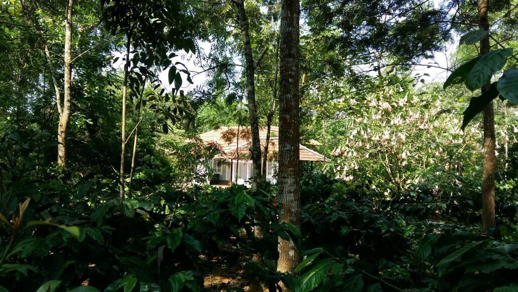 Leisure Vacations Whispering Woods Hotell Madikeri Exteriör bild