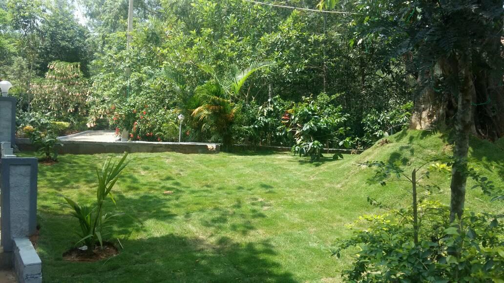 Leisure Vacations Whispering Woods Hotell Madikeri Exteriör bild