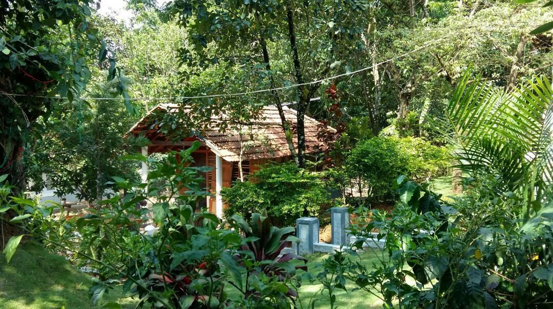 Leisure Vacations Whispering Woods Hotell Madikeri Exteriör bild